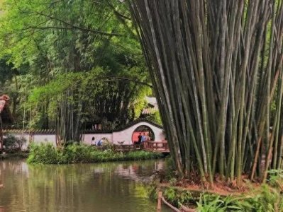 ​仲夏苦夜短 开轩纳微凉——咏仲夏古诗词赏析（三）