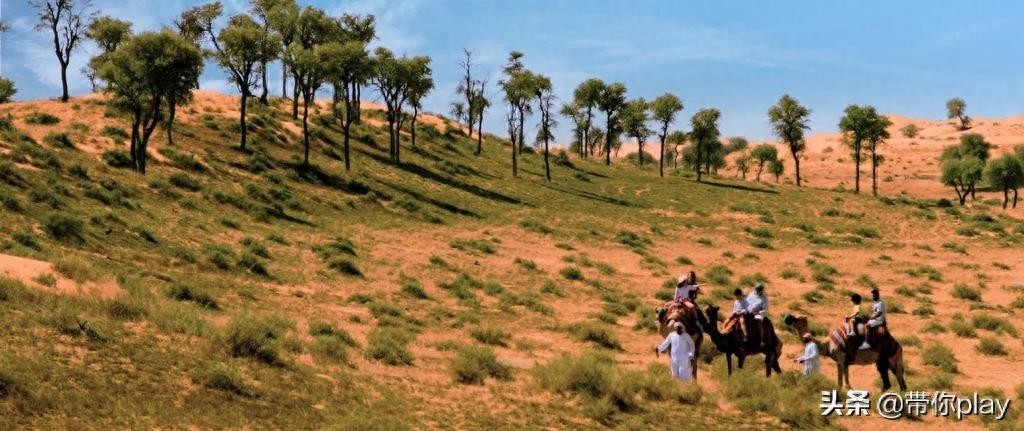 冰火两重天爽吗?解密沙漠里的奢靡享受