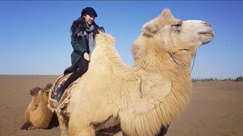 武林风上的举牌宝贝萌萌生活照曝光 看起来挺漂亮