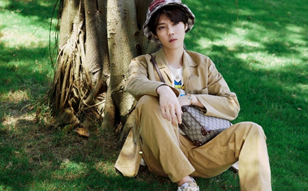 鹿晗微风少年林间写真图片