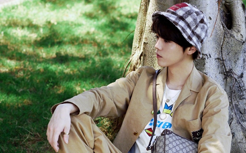 鹿晗微风少年林间写真图片