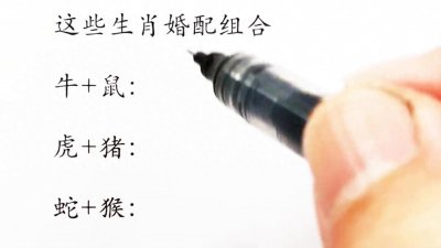 ​十二生肖生肖婚配组合