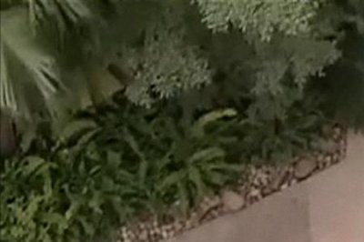 ​失踪女人剧情深度解析