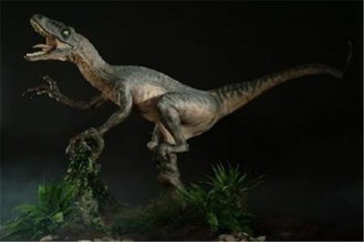 ​恐爪龙：身长可达3.4米爪子形态十分特别（猛烈生物）