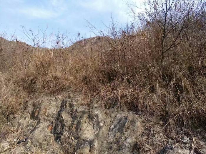 农村里只有老女人才会的一种手艺面临失传了, 现在年轻女人都不会