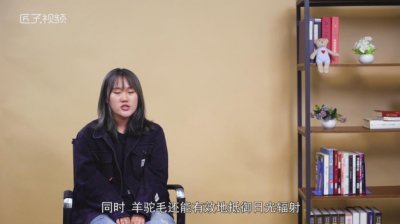 ​苏力是什么面料