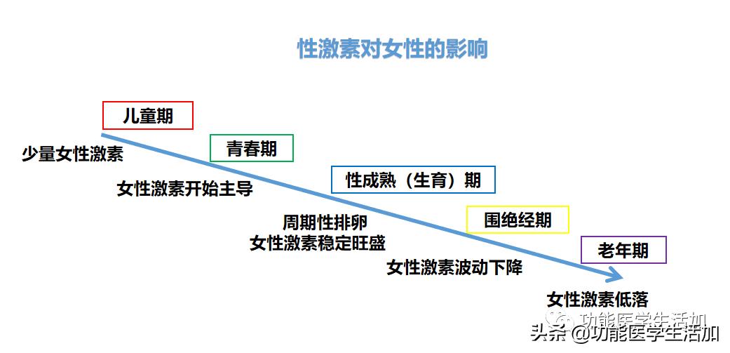 女性在什么情况下分泌荷尔蒙（荷尔蒙是什么分泌的）