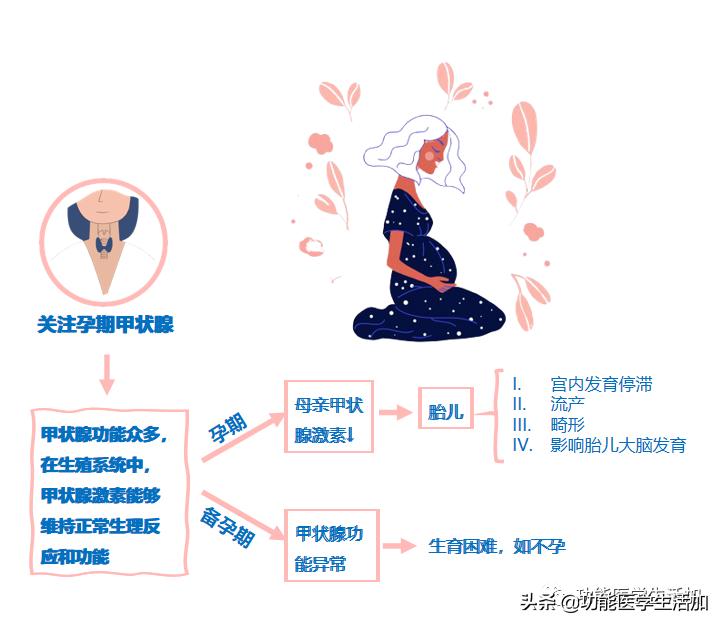 女性在什么情况下分泌荷尔蒙（荷尔蒙是什么分泌的）