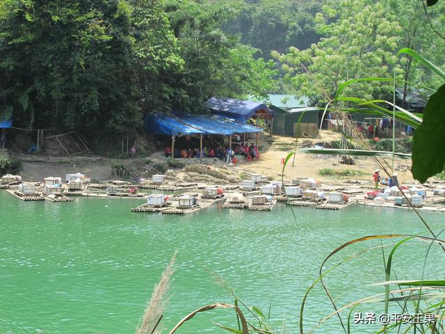 广西德天跨国大瀑布游玩攻略（第一次独行广西德天跨国瀑布）(5)