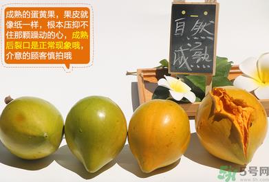 蛋黄果怎么催熟？生的蛋黄果如何催熟？