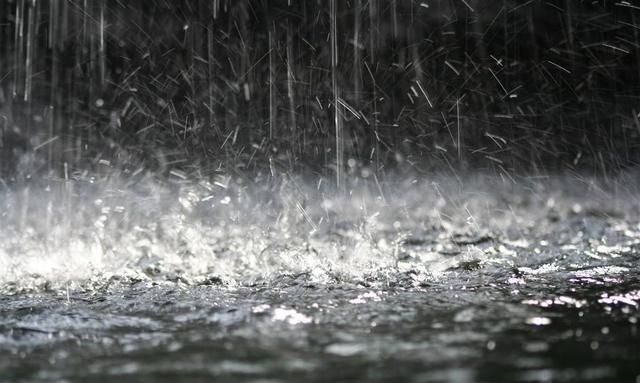 陈肾是什么东西,请回答!令你最难忘的乡村美味是什么?图1