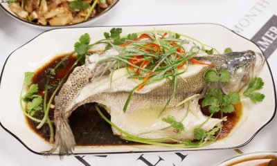 ​清蒸鲈鱼怎么做，何大厨清蒸鲈鱼怎么调汁？