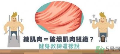 ​练肌肉会破坏肌肉组织吗？练肌肉要注意什么呢？