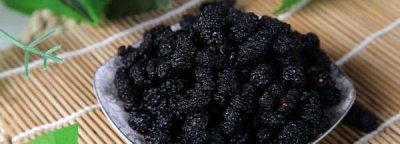 ​桑葚干保质期是多久,桑葚干保质期是多久不能吃