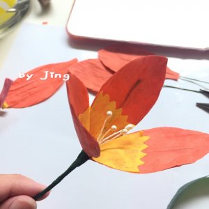 ​永不凋零的纸藤花