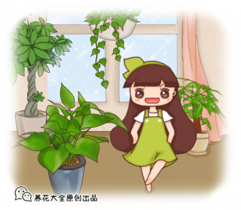 ​啤酒喷花叶的正确方法（花的叶子发黄用什么方法变绿）