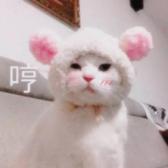 表情包:网恋选我我超甜