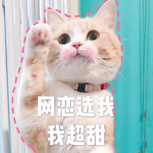 表情包:网恋选我我超甜