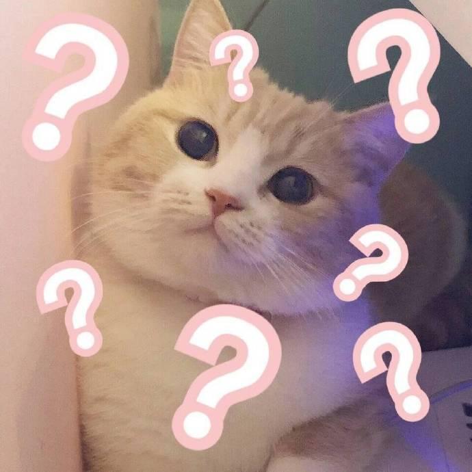 表情包:网恋选我我超甜