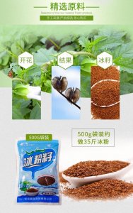 ​冰仔是什么（冰仔介绍）