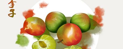 ​哪种水果不是长在树上的 哪个水果不是长在树上的