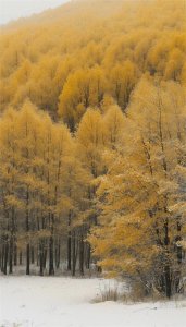 ​.虔诚，一词主要有以下含义，