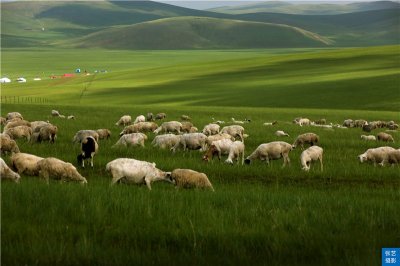 ​这个美如天堂的呼伦贝尔草原，是世界四大草原之一，盛赞北国碧玉