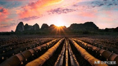 ​从壮志难酬到田园寄情：陶渊明的诗意人生与心灵启迪