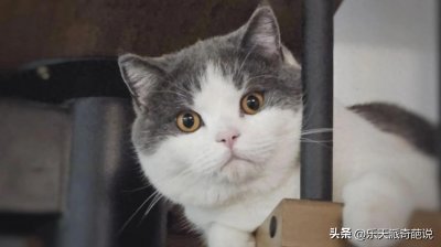 ​怎么擦屁股才干净