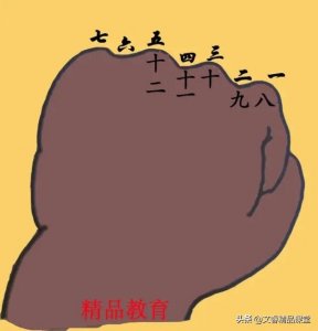 ​年月日及闰年知识点总结及在实际生活中的应用