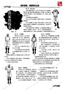 ​刚中带柔，拳中之尊——洪家铁线拳