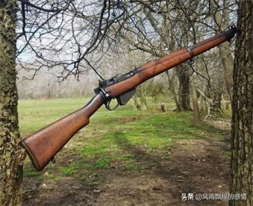 ​二战六大经典步枪，每一款都承载着独特的“个性”