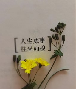 ​小白兔离婚案曝光：倒找弟弟钱？真相引发关注！