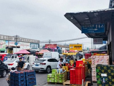 ​在这里，车水马龙这个词得到了具象化