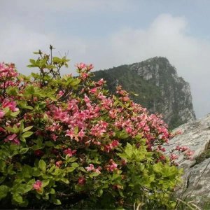 ​山西永济市五老峰