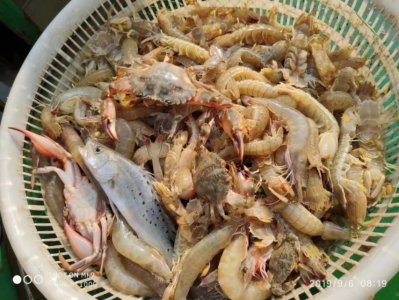 ​沧州旅游哪里去，黄骅港来看海！