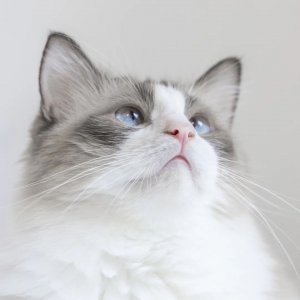 ​银行预留证件信息过期？手机银行就能办理！