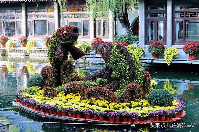 山东十大最美旅游景点（山东十个推荐的旅游景点）(27)