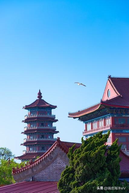 山东十大最美旅游景点（山东十个推荐的旅游景点）(23)