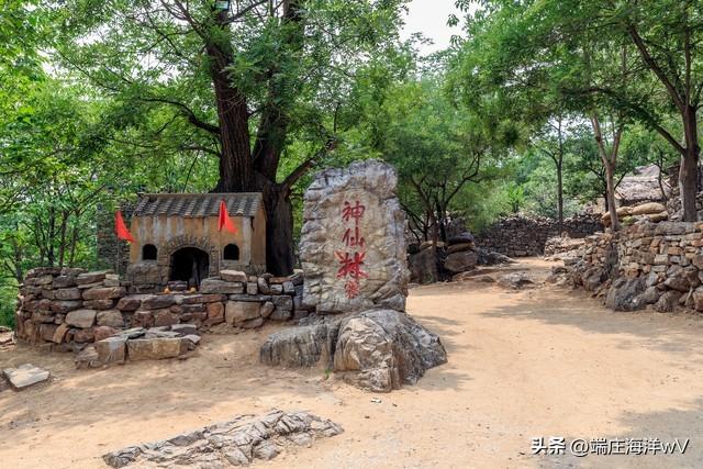 山东十大最美旅游景点（山东十个推荐的旅游景点）(17)
