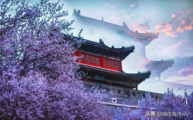 山东十大最美旅游景点（山东十个推荐的旅游景点）(44)