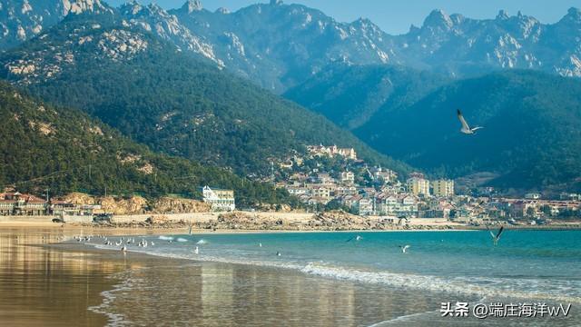 山东十大最美旅游景点（山东十个推荐的旅游景点）(34)