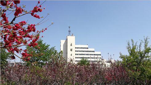 “失手”?报复？解密沙特记者卡舒吉被害之谜