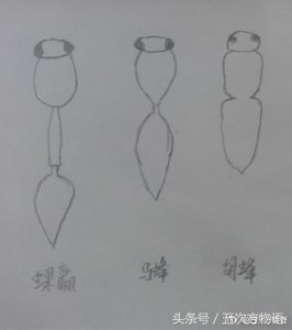 ​胡蜂和马蜂有什么区别(胡蜂和马蜂哪个厉害)