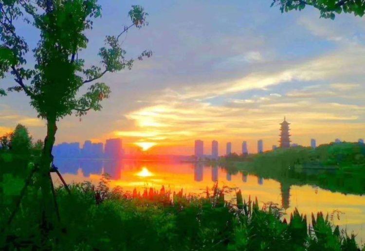 三伏天是什么意思(三伏天是怎么算出来的)