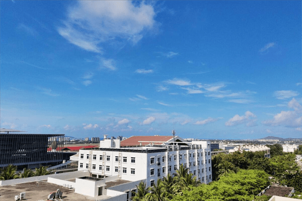 三伏天是什么意思(三伏天是怎么算出来的)