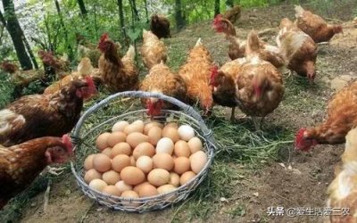 ​现在有什么投资小赚钱多的生意，现在做什么生意投资小，赚钱多？我想搞点投