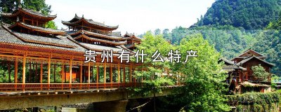 ​贵州有什么特产