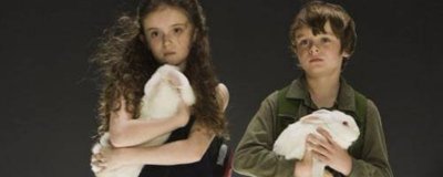 ​神秘代码结局解读