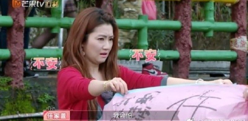 任家萱为什么怕火